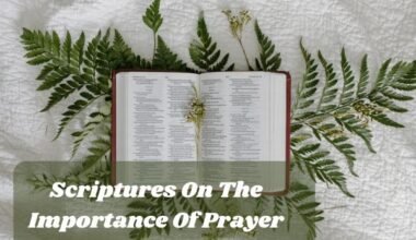 Scriptures On The Importance Of Prayer