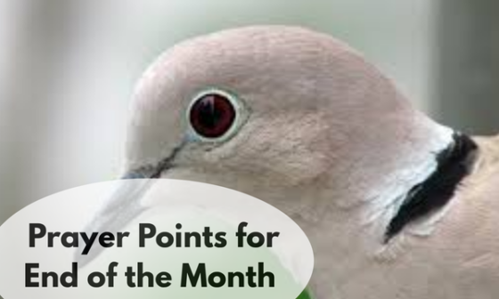 Prayer Points for End of the Month
