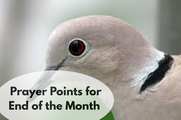 Prayer Points for End of the Month